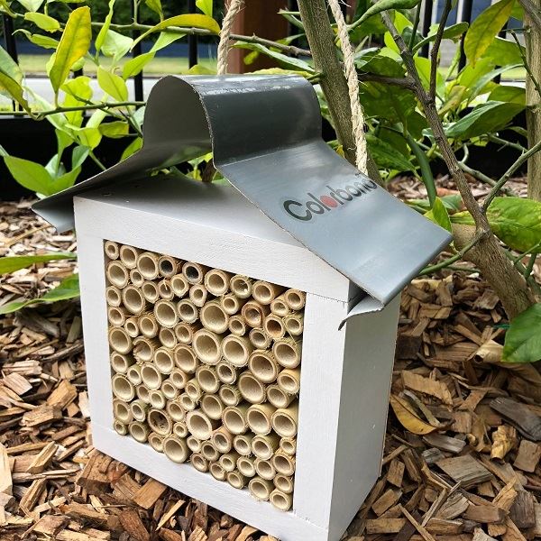 Australian Solitary Bee Hotel