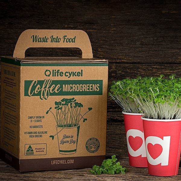 Coffee Microgreens Box