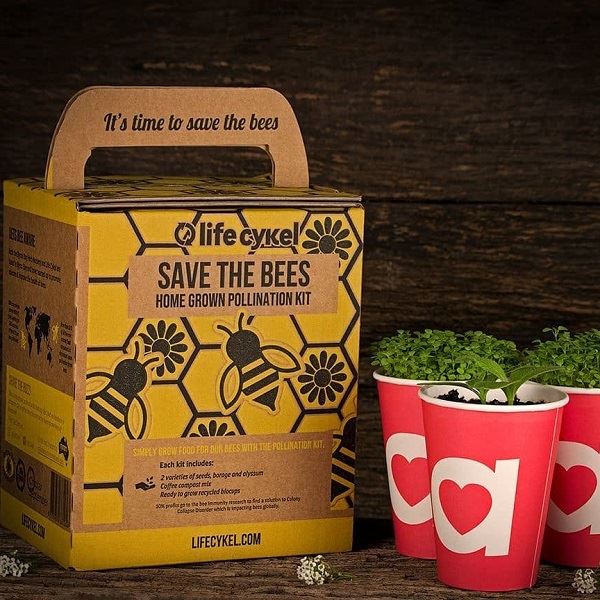 Bee Pollination Kit