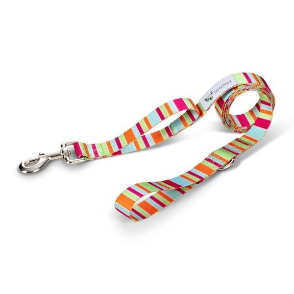 Dog Leash "Soda" Made from Recycled Plastic