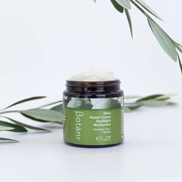 Olive Repair Cream