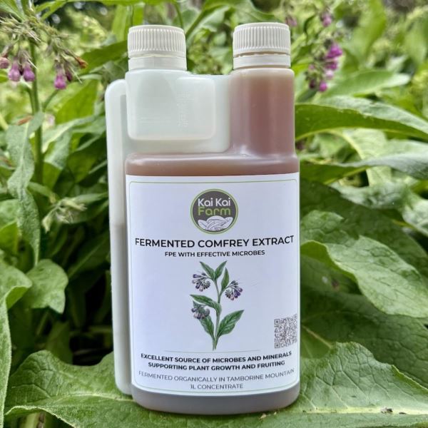 1L Fermented Comfrey Extract