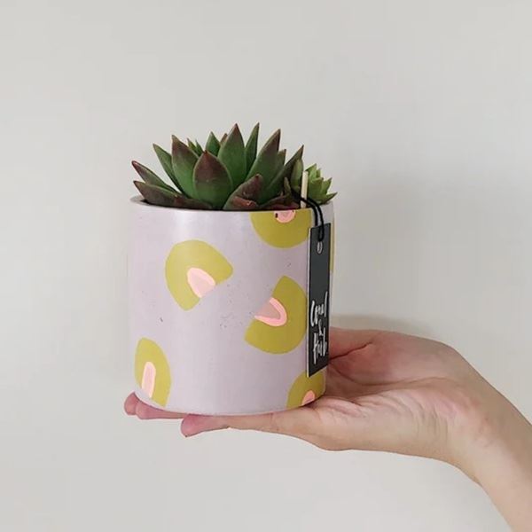 Planter - Blush + Rainbow