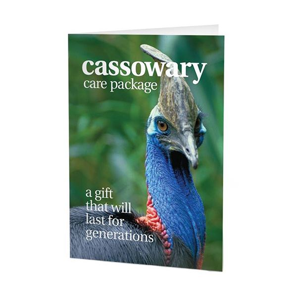 Cassowary Care Package
