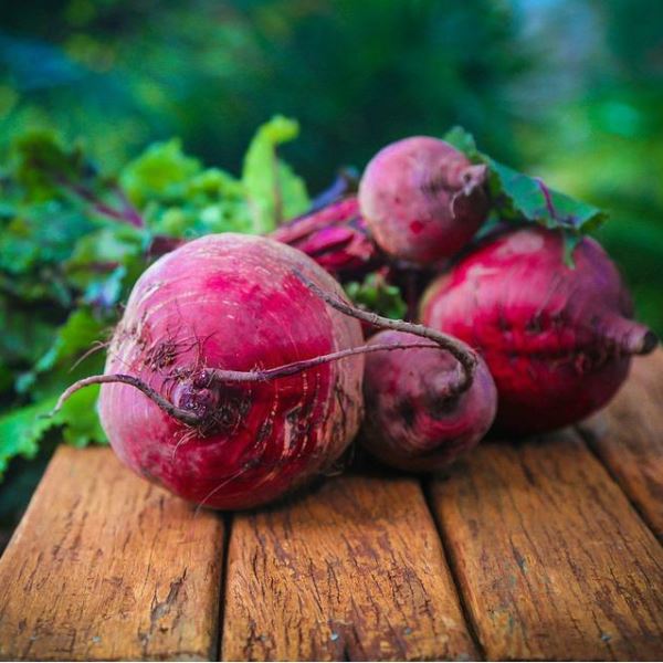 Beetroot  'Detroit Red' - 50 Seeds