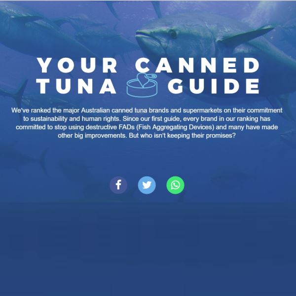 Your Canned Tuna Guide