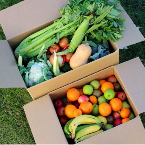 Seasonal Fruit Box & Veggie Box